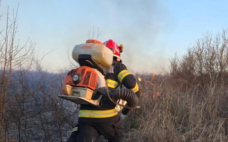 Peste 100 de intervenții ale pompierilor arădeni în weekend