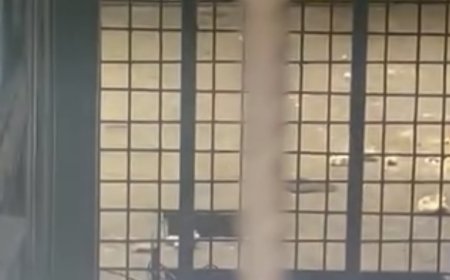 Videoclipul din Zoo Reșița care a încins spiritele pe internet