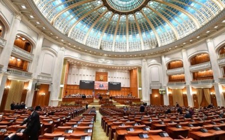 Dan Reșitnec critică amendamentele PSD de 2,3 miliarde lei la buget