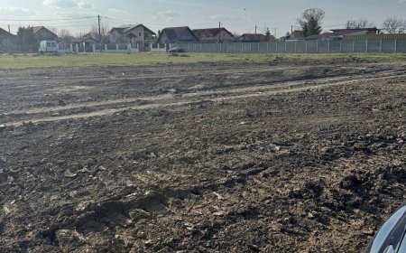 Curățenie la Sânmihaiu Român și avertisment dur: amenzi pentru depozitări ilegale de deșeuri