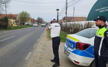 Acțiune rutieră la Dudeștii Noi, sancțiuni și dosare penale