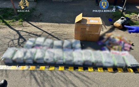 Tânără prinsă cu aproape 10 kilograme de canabis aduse din Spania