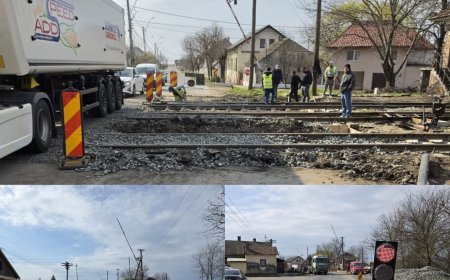 Trafic dirijat cu semafor la Cărpiniș