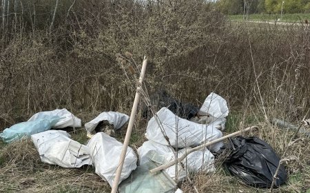 Aruncatul gunoaielor pe domeniul public se sancționează aspru la Ghiroda