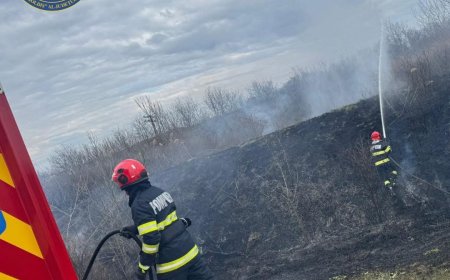 Peste 100 de intervenții ale pompierilor din Arad, în weekend