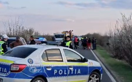 Accident între Cenei și Cărpiniș! Un bărbat a ajuns la spital