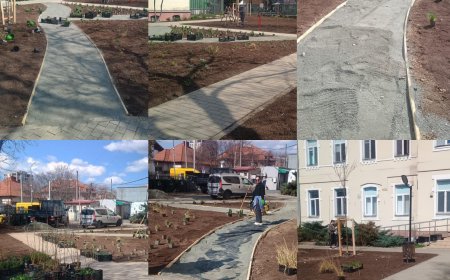 Un loc mic, creat de Horticultura, dar cu un impact mare