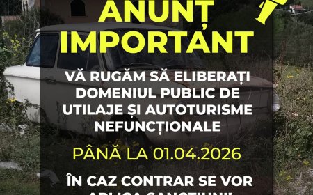 Dudeștii Vechi: sancțiuni pentru utilaje și mașini pe domeniul public