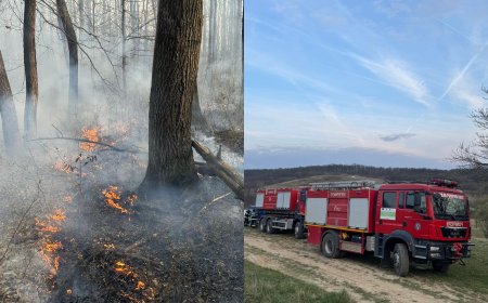 Incendiu puternic la Coșteiu de Sus