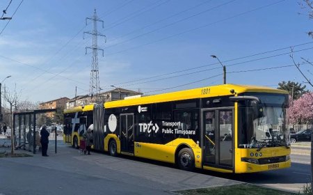 Modificări de orar pentru liniile Tb11 și M11; primele firobuze în circulație la Ghiroda