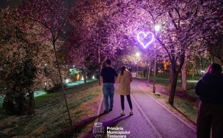Magie nocturnă în Timișoara: Inimi luminoase în „Tunelul Iubirii”