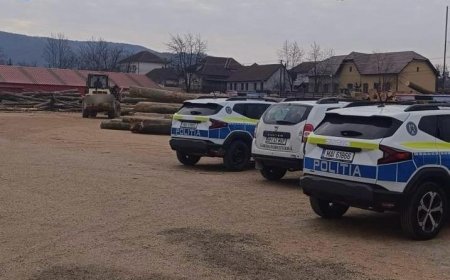 Percheziții la un depozit de material lemnos din Arad