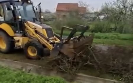 VIDEO | A început colectarea resturilor vegetale în Remetea Mare și Ianova