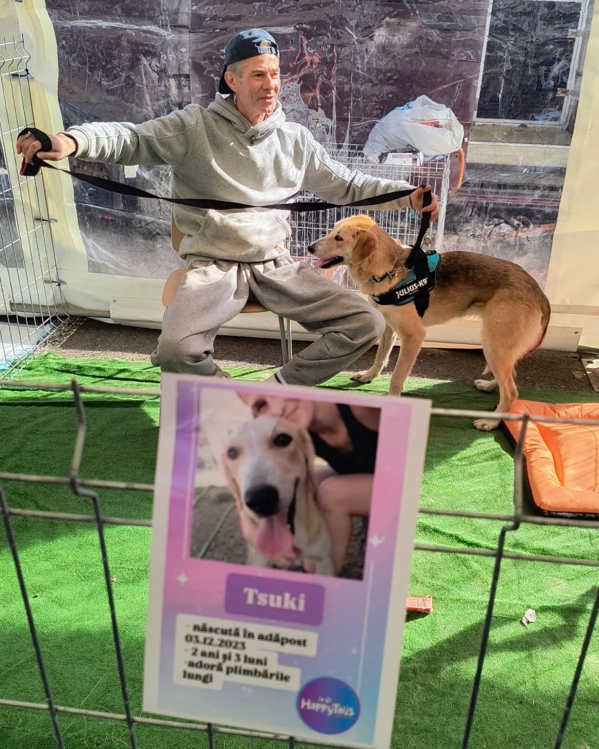 Cățeii de la "Happy Tails" își caută o familie