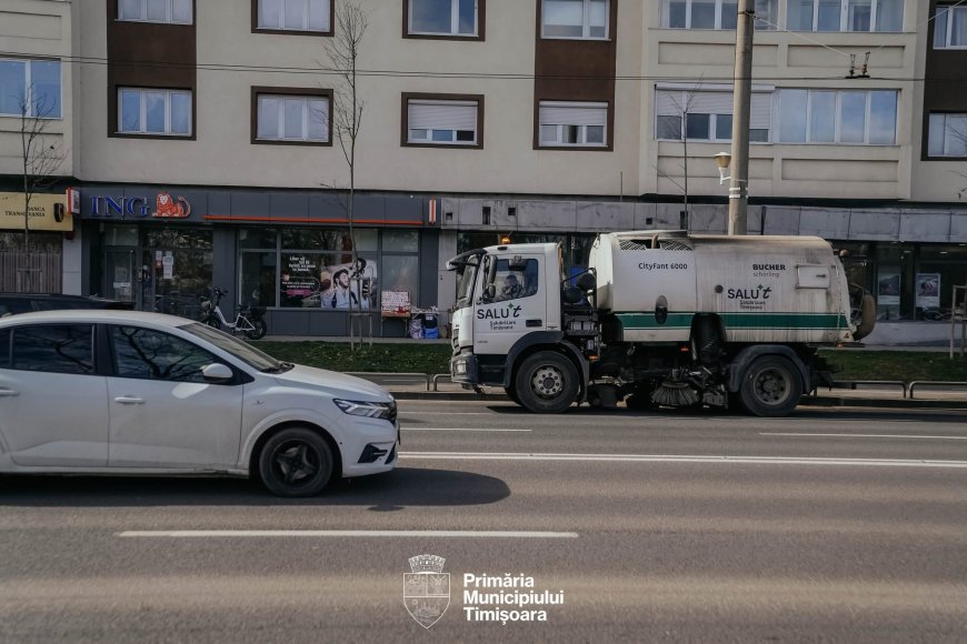 Curățenie generală în Timișoara
