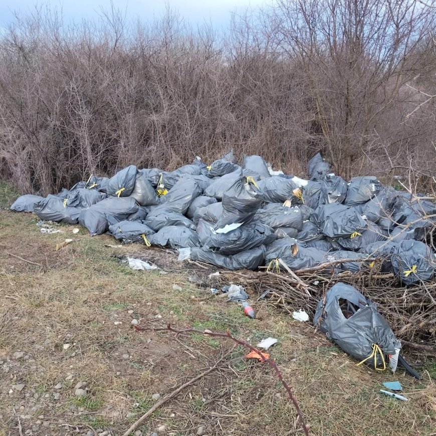 Toleranță zero pentru abandonarea deșeurilor în Giarmata