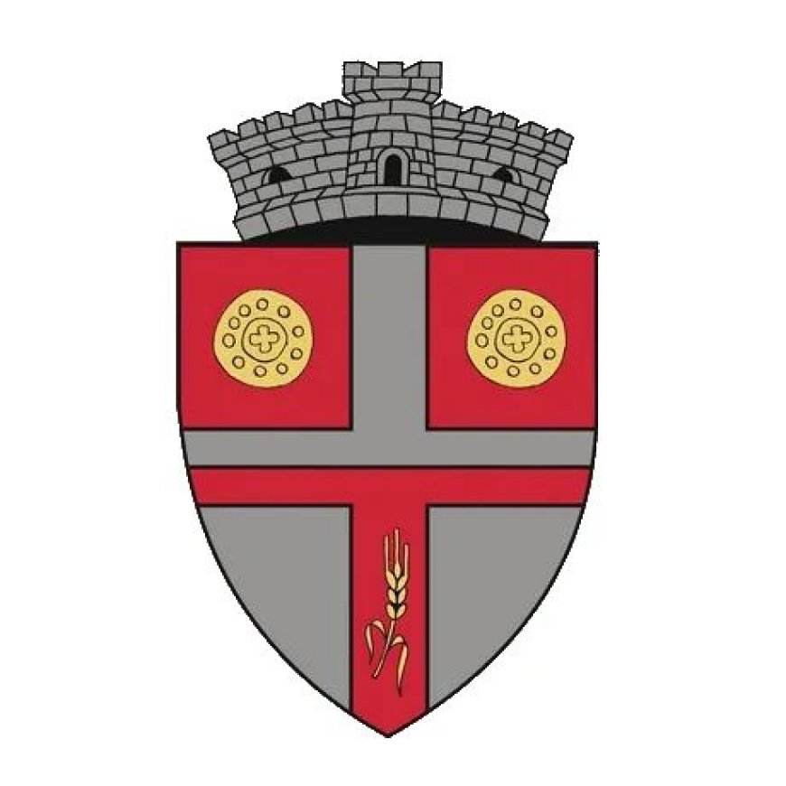 Ce taxe și impozite plătesc locuitorii comunei Boldur?