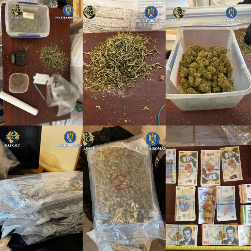 Captură impresionantă pentru polițiștii timișeni- kilograme întregi de droguri și sume mari de bani