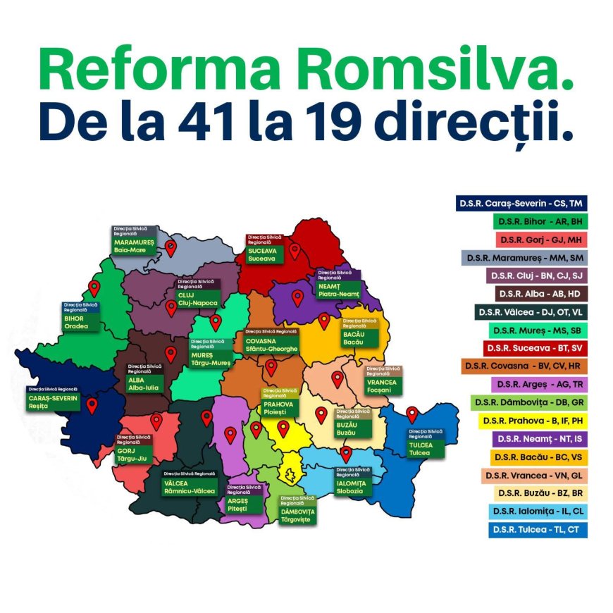 Se reduc directorii odată cu Reforma Romsilva