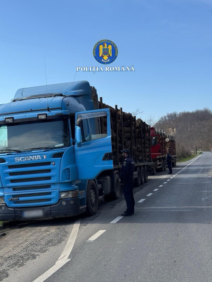 Sancțiuni pentru transportatorii de lemne