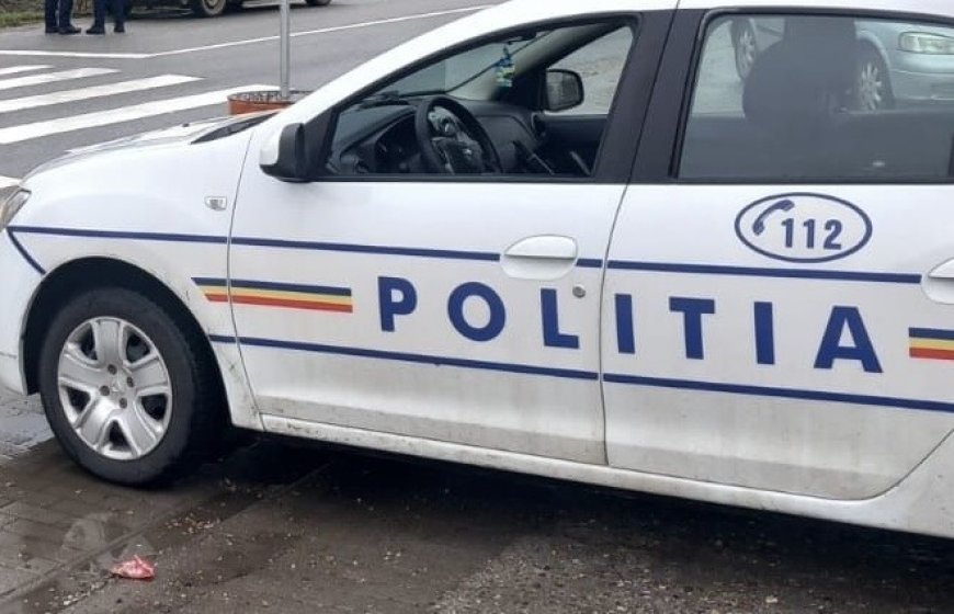 Sute de amenzi în Caraș-Severin, în urma acțiunii ROADPOL Seatbelt