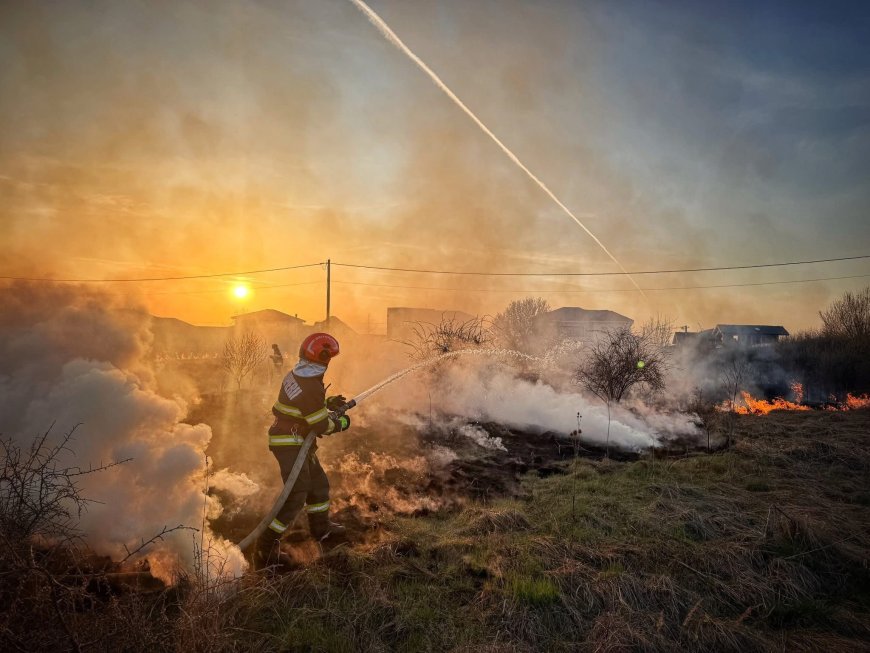 Incendiu de vegetație în Dumbrăvița