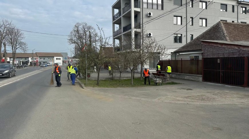 Curățenie pe Calea Timișoarei și strada Trandafirilor din Giroc