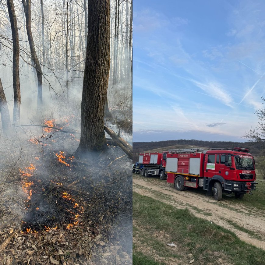 Incendiu puternic la Coșteiu de Sus