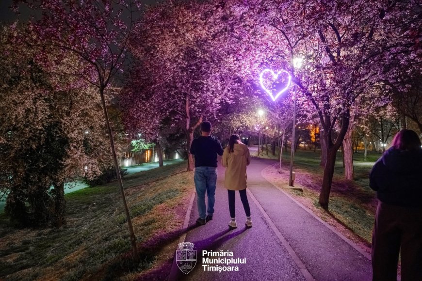 Magie nocturnă în Timișoara: Inimi luminoase în „Tunelul Iubirii”
