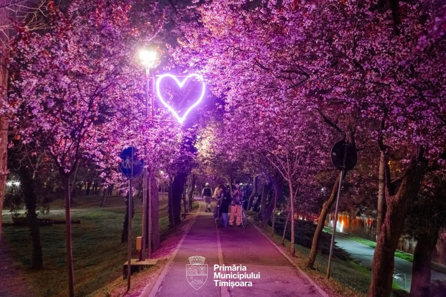 Magie nocturnă în Timișoara: Inimi luminoase în „Tunelul Iubirii”