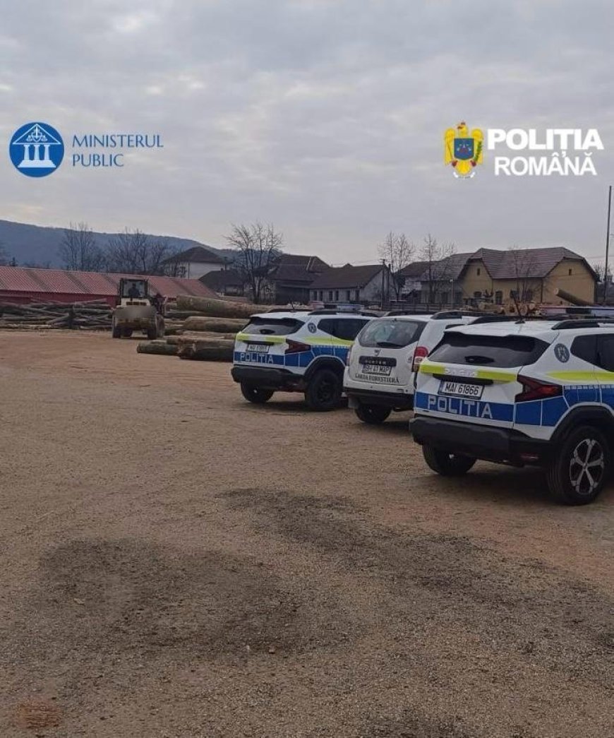 Percheziții la un depozit de material lemnos din Arad