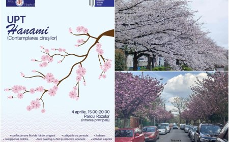 Centrul Jutsu de la UPT aduce spiritul Japoniei în inima orașului florilor