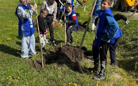 Lecția de ecologie: Elevii din Măureni au înverzit comuna