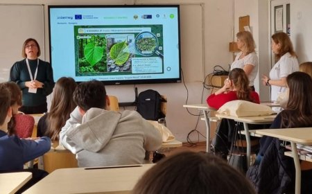 Elevii timișoreni învață despre mediu prin programul „EnviSchool” al UPT