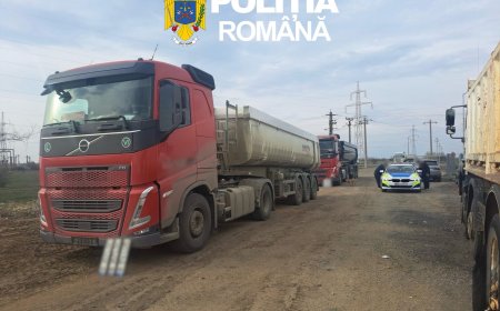 Amenzi de peste 150.000 de lei pentru depășirea tonajului în Arad
