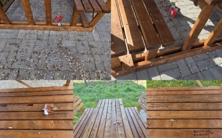 Nesimțire cât cuprinde la Parța! Un loc de recreere, vandalizat de cetățeni