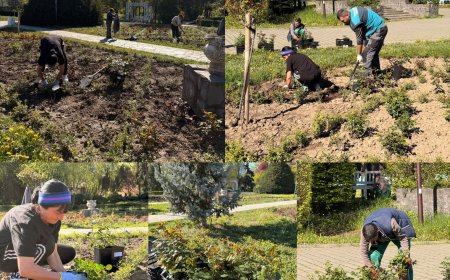 Mii de trandafiri în Parcul Rozelor