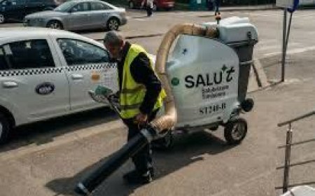 Primăria Timișoara curăță "până la bordură"