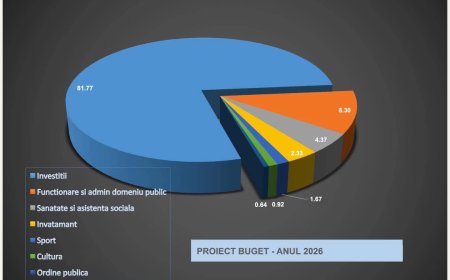 Cum va arăta bugetul comunei Șag