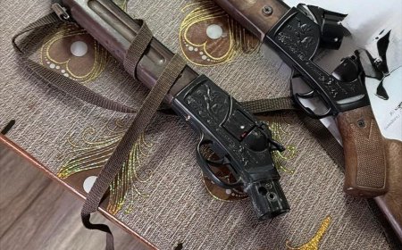 Percheziții în Arad. Arme, muniție și carne de vânat, ridicate de polițiști