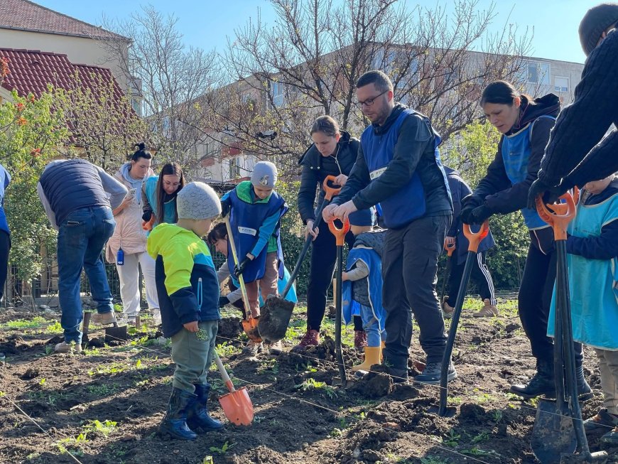 O nouă pădure urbană prinde contur în zona Bucovina