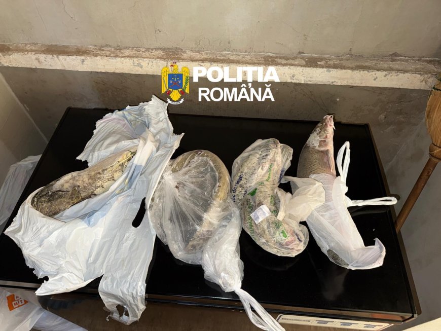 Braconaj de amploare în vestul țării