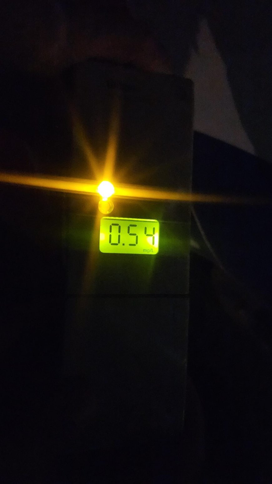 Polițiștii timișeni, la datorie în timpul Sărbătorilor Floriilor și Paștelui Catolic