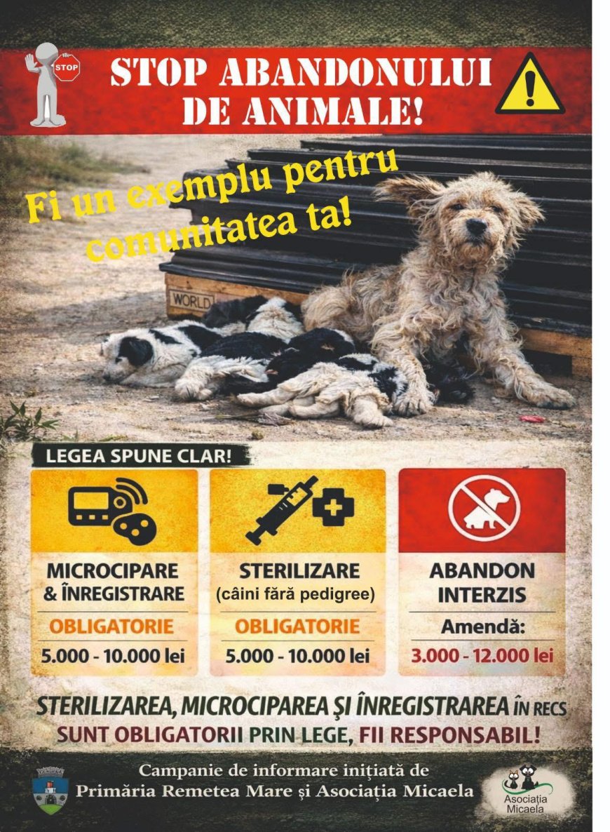 Stop abandonului de animale