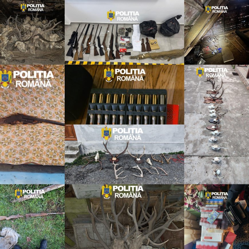 Percheziții de amploare la Arad! Am fost ridicate arme, cartușe, țigări și sute de kilograme de carne de vânat