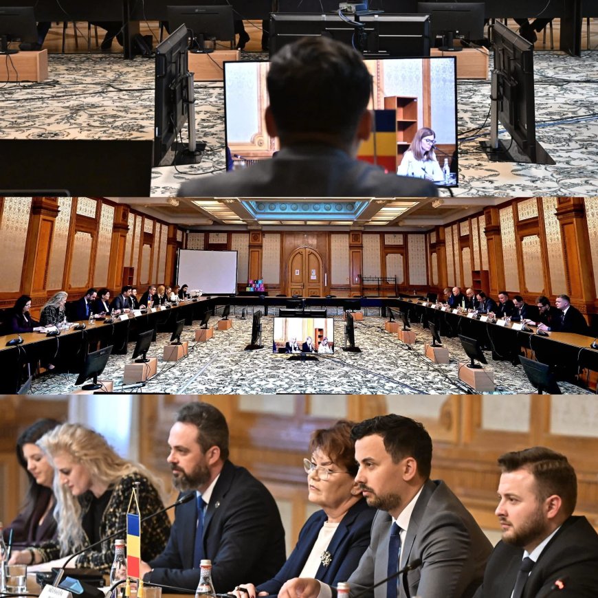 Delegația Parlamentului Ucrainean, la București