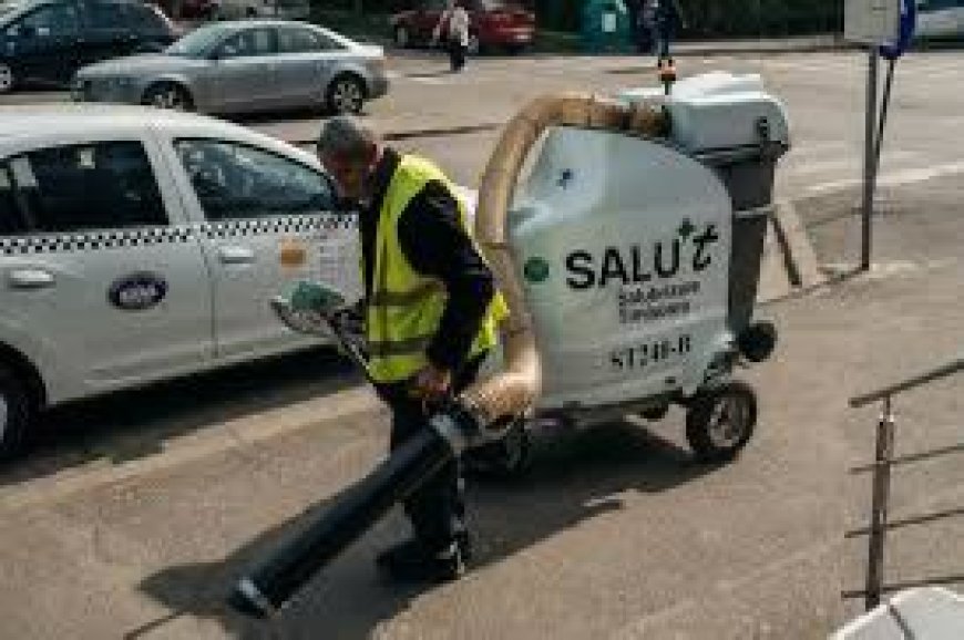 Primăria Timișoara curăță "până la bordură"