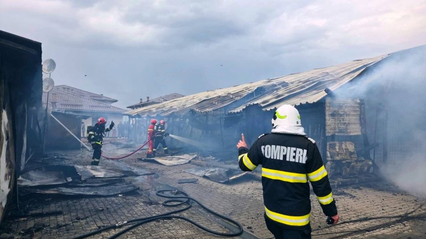 Incendiu generalizat la o uscătorie de lemne, extins la casele din vecinătate