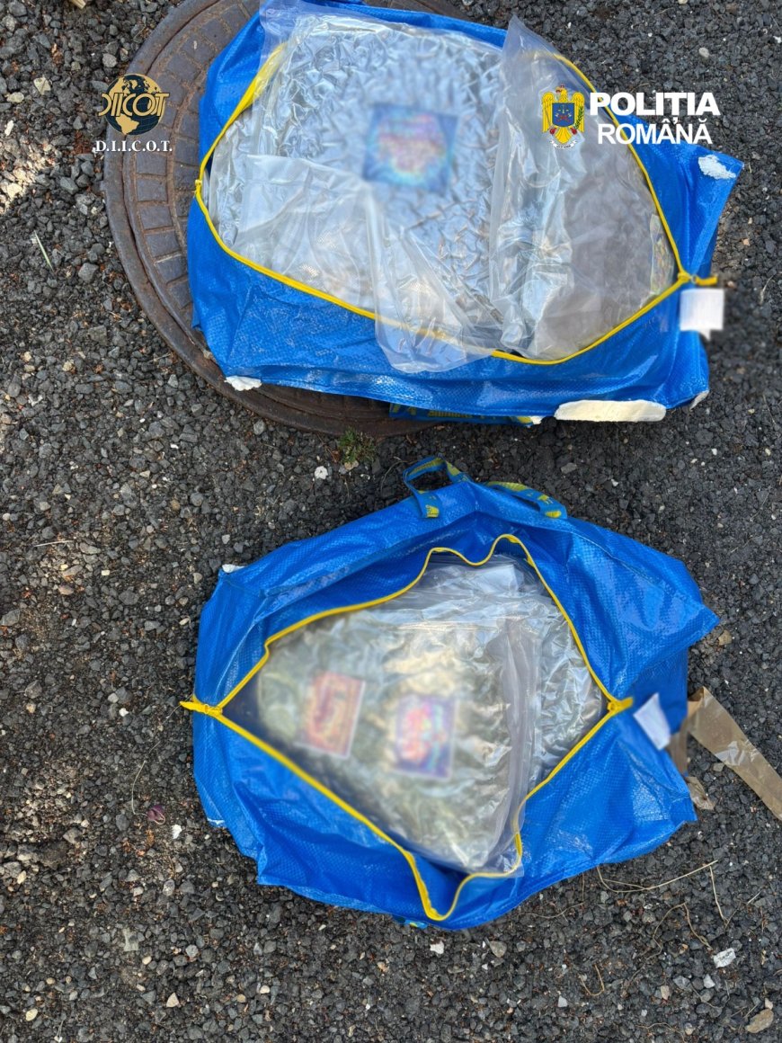LOVITURĂ DURĂ ÎN REȚEAUA DROGURILOR: 13 KILOGRAME DE CANABIS, TRANZACȚIE DE 30.000 € ȘI DOI SUSPECȚI ARESTAȚI
