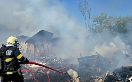 Animale moarte într-un incendiu, la Lugoj